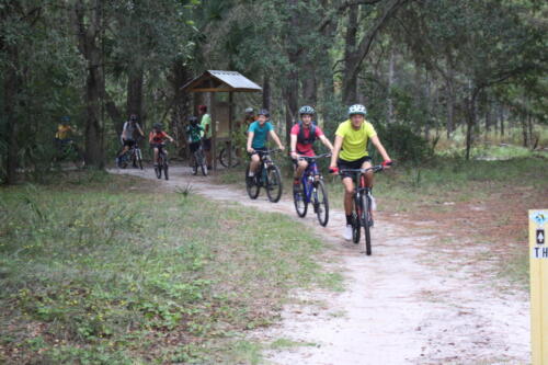 Cycling MB November 2020