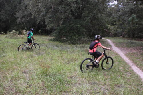 Cycling MB November 2020