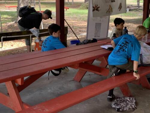 Summer Camp @ Lanoch - June 6, 2022