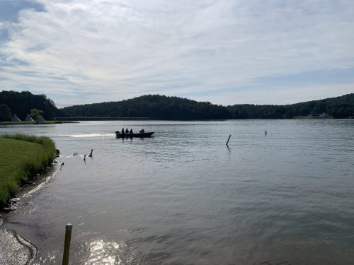 IMG_5579