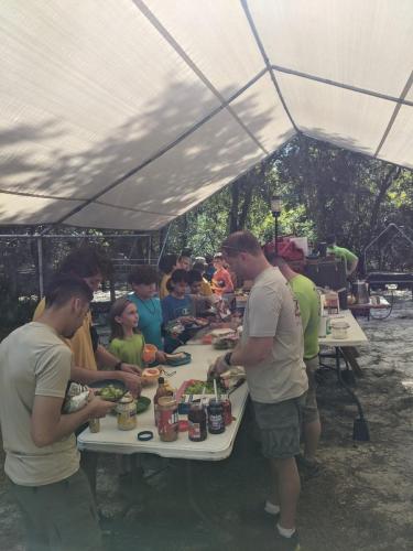 PXL_20211016_160713650