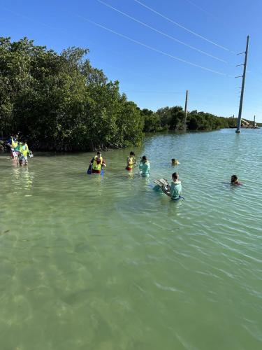 Sea Base Mighty Dragons 2023