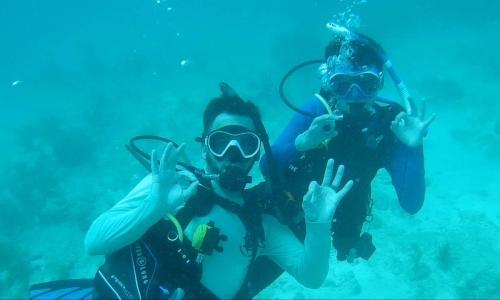 Sea Base - Scuba Live-abroad 2023