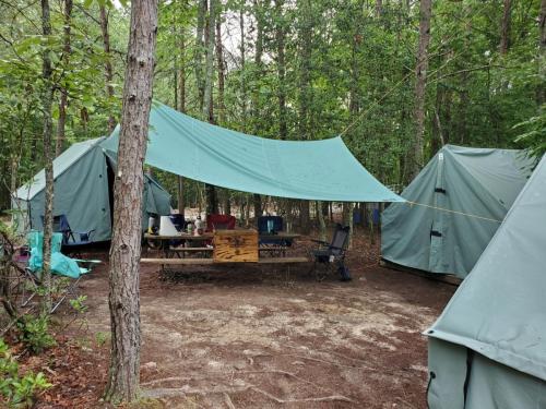 Summer Camp Wuudruff 2022